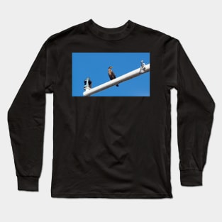 Double-crested Cormorant Perching On a Light Pole Long Sleeve T-Shirt